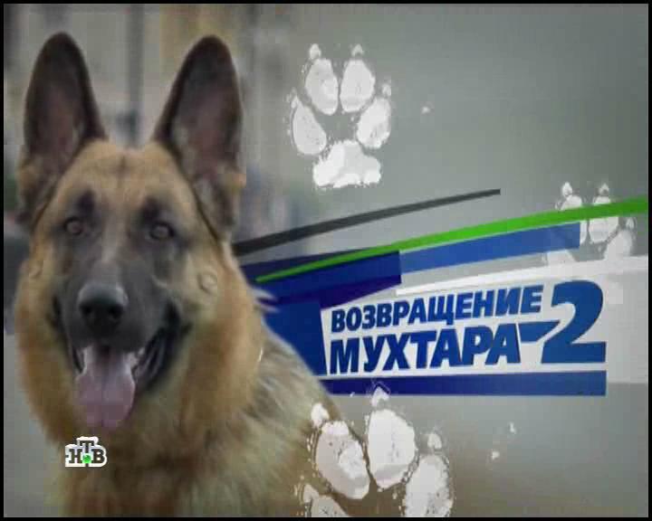 Возвращение Мухтара 2 / Повернення Мухтара 2 (2009) Русский | Сезон 5 (Серия 2)